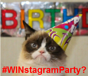 Winstagram Party Cat