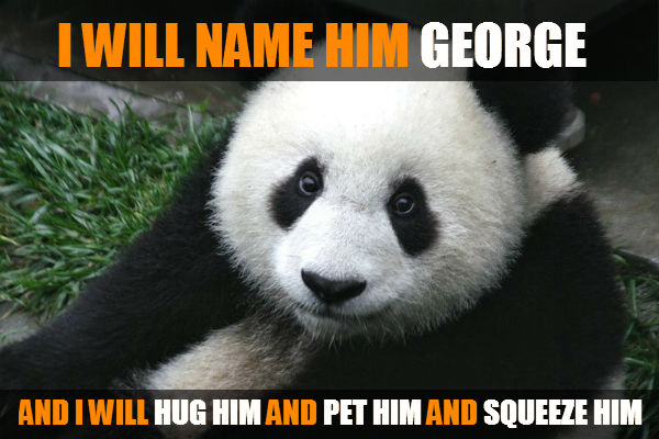 George Google Panda 4.0