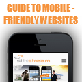 Guide to Mobile Websites