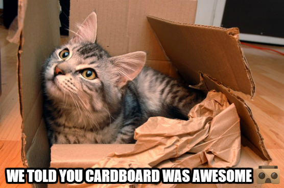 Google Cardboard Box Cat