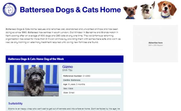 Battersea Dogs and Cats