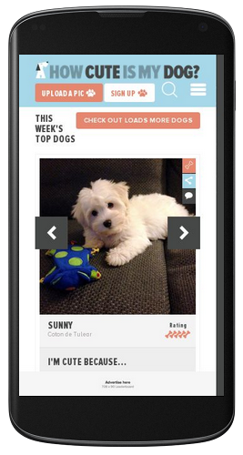 How Cute Is My Dog Mobile Web Design