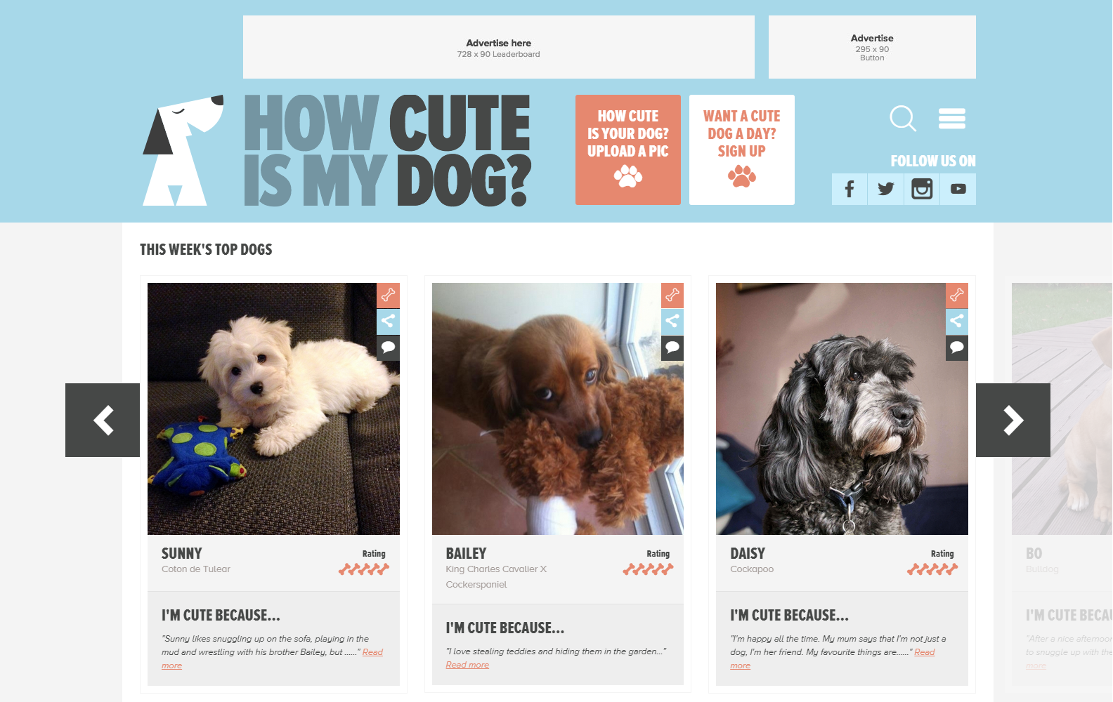 How Cute Is My Dog New Website