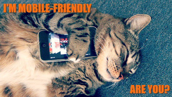 Mobile-Friendly Cat