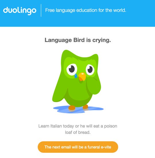 Language bird is crying