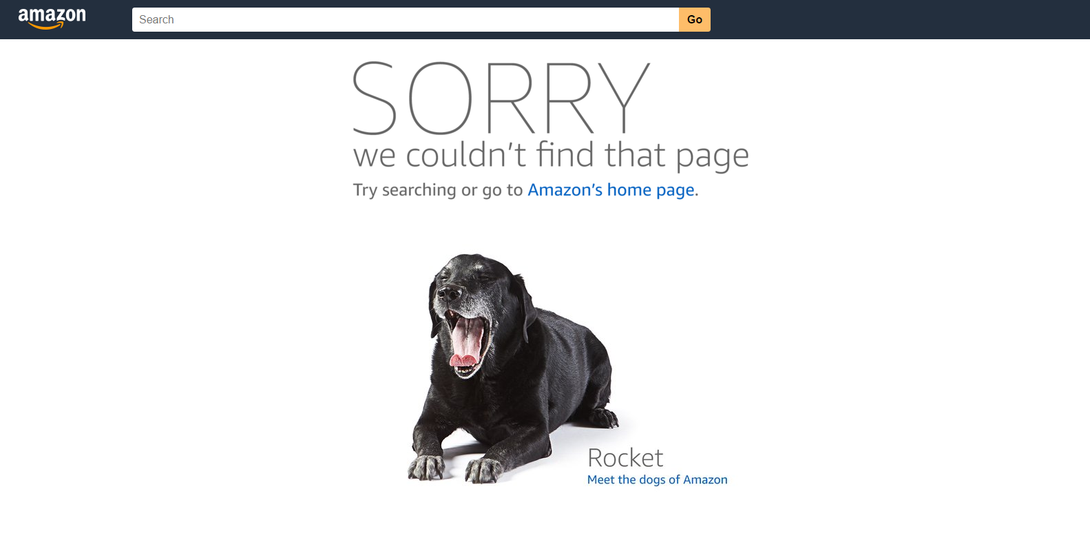 Amazon 404 page