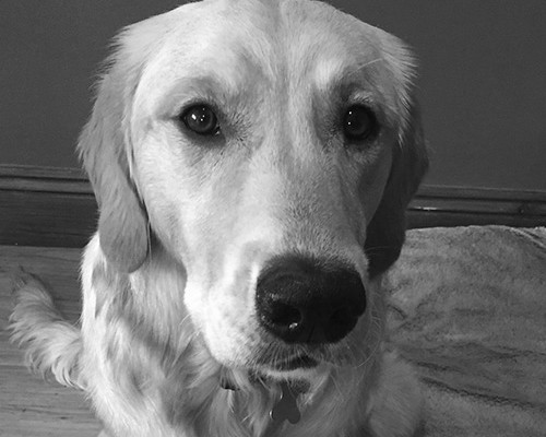 Cooper