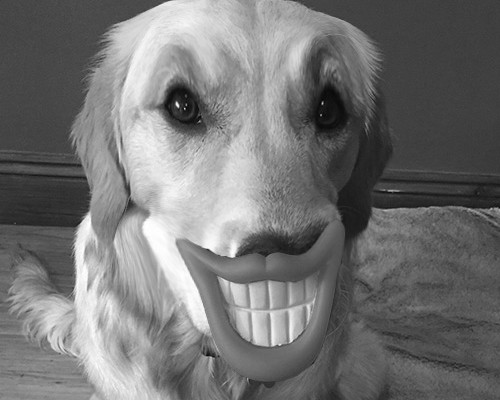 Cooper